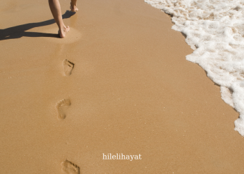 Günde Kaç Adımda : Kilo Verme, Fitness Seviyesi ve Daha Fazla  İpuçları